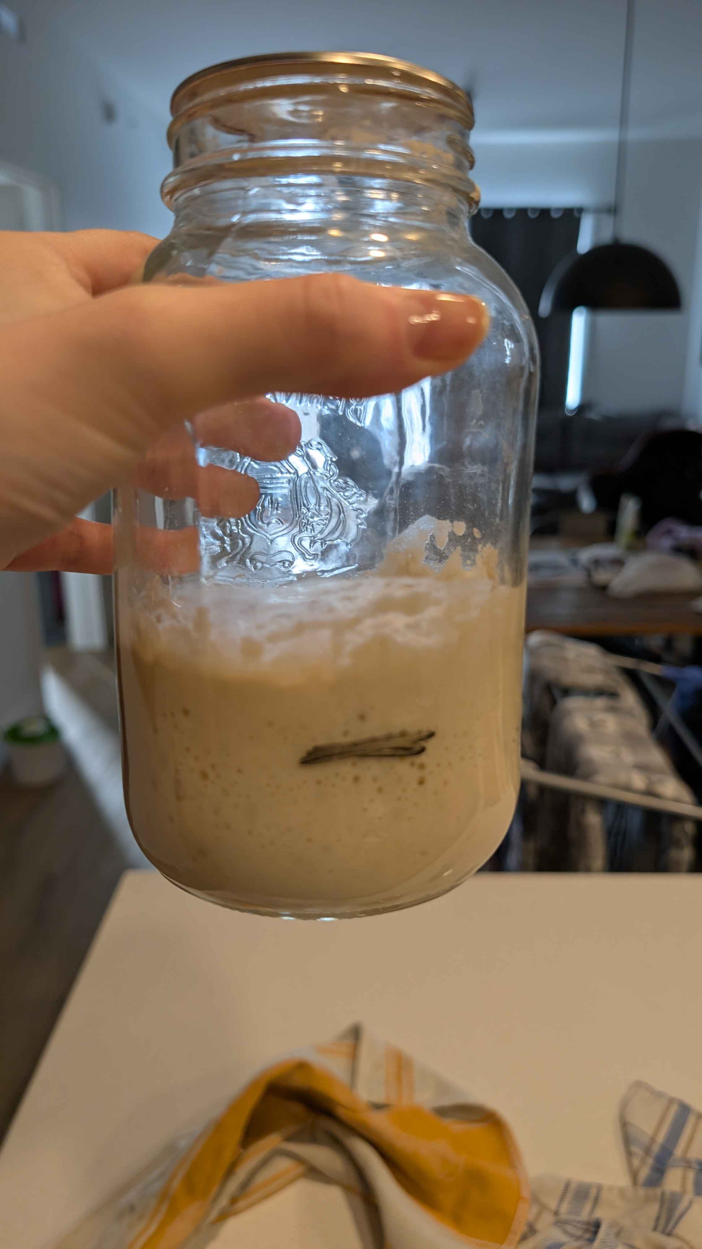 Paul le levain bubbly