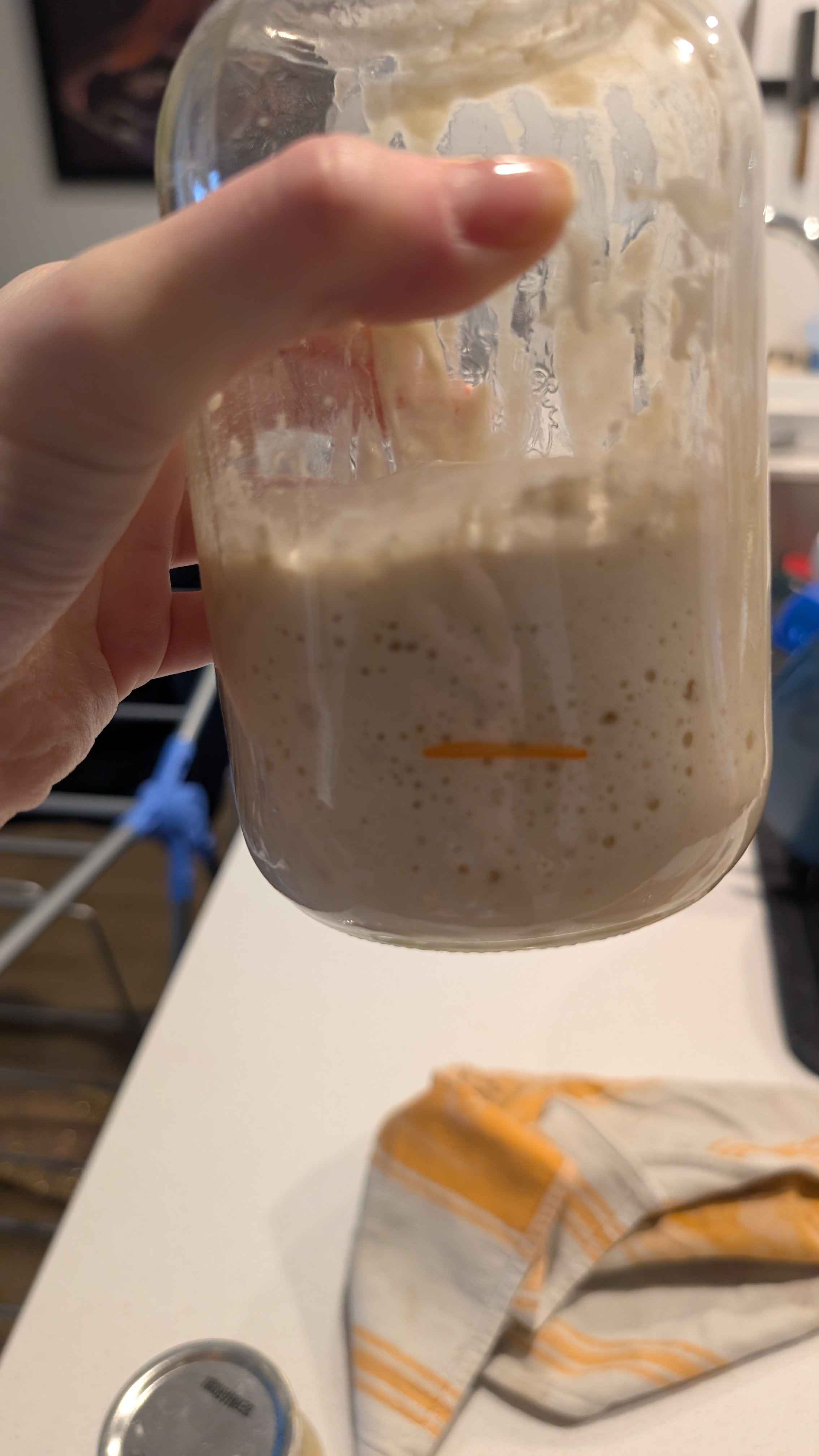 Paul le levain dans son pot Mason