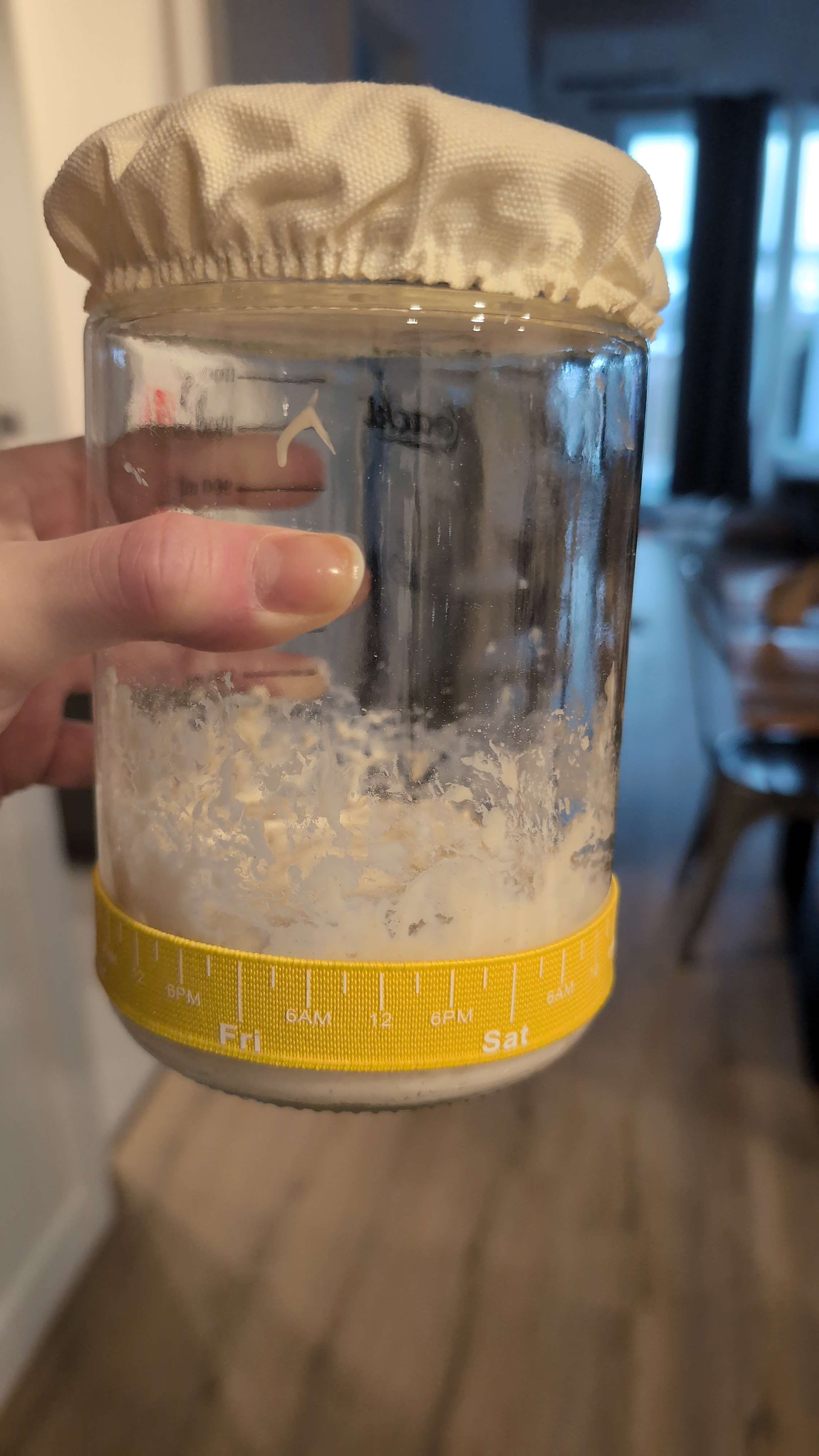 Levain starter dans pot Brodey